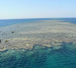 Bootsfahrt zu den Delfinen 