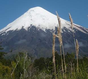 Osorno