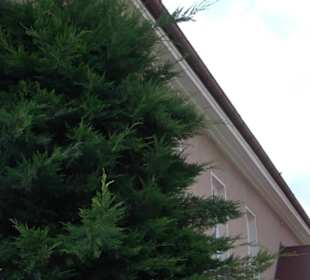 Evangelisch-methodistische Kirche - Christuskapell