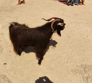 Wandern Georgioupolis