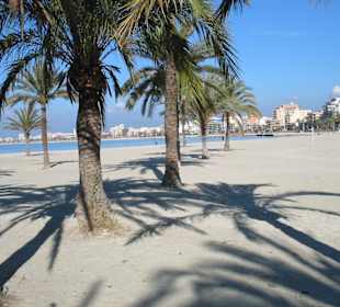 Strand von El Arenal im Januar