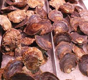 Bunter Markt in Santa Cruz