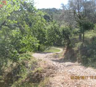 Die Fahrt richtung Tsilaro Strand