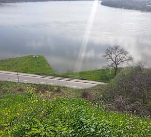 Stare Miasto Novi Sad