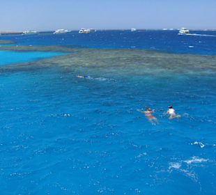 Schnorcheln am riesen Korallenriff