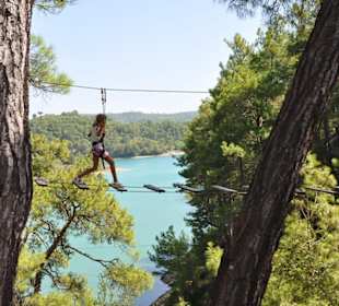 Indiana Jones Bücke