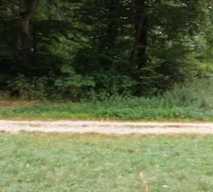 Grillplatz Eninger Weide