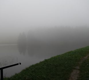 Staudamm am Liebesbankweg