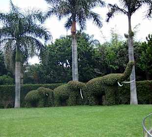 Eingangsbereich des Loro Parque