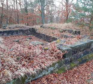 Burgruine Perlenberg in Bann