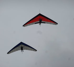 Im Duett toll anzusehen