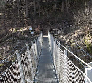 Hängebrücke im Fürstlichen Park