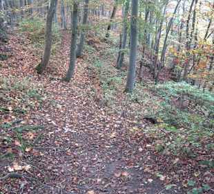 Wandern Rauberweide