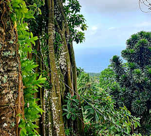 Parque Natural Obô do Príncipe