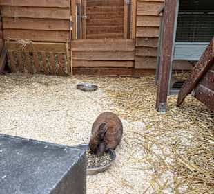 Steinerbos Belevenispark