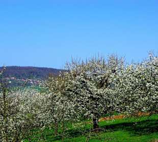 Zweites Drittel vom Aufstieg