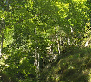 Cascada Valul Miresei