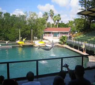 Miami Seaquarium