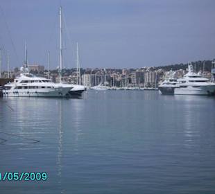Der Hafen von Palma