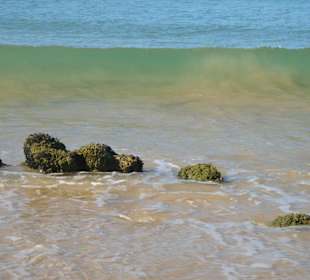 Praia da Falesia (Strand 15min vom  Hotel RIU Palace Algarve