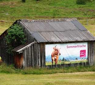 Urige Alm
