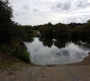  Holsterhausener Uferseite Blick nach Dorsten