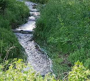 Wandern Wenigzell