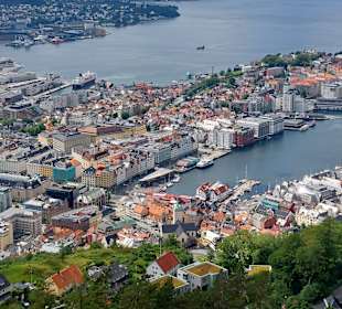 Fløyen