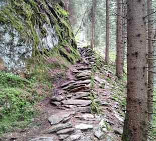 Wandern Krimml