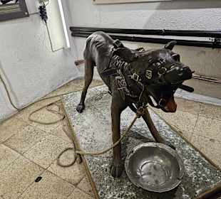 Wachhund