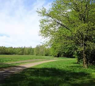 Spaziergang durch den Walter-Peters-Park
