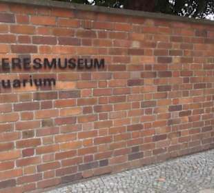 Meeresmuseum