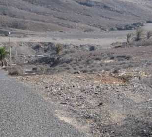 Auf dem Weg zum Strand