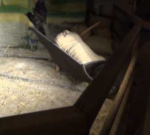 Alles für Nase und Gaumen