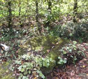 Kneipp`scher Sinnesgarten