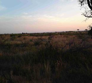 Krüger Nationalpark