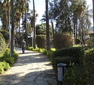 Park in der Nähe des Hafens