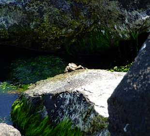 Nessebar Strand/Küste