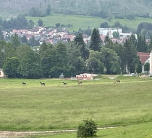 Wandern Friedrichroda