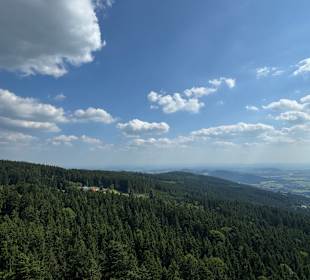 Waldwipfelweg St Englmar