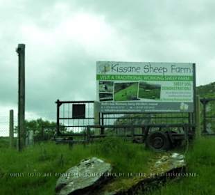 Werbetafel auf dem Gelände der Kissane Sheep Farm