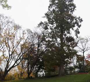 Parkanlage Planten un Blomen