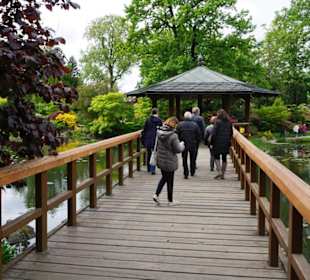 Brücke mit Pavillon über den Teich