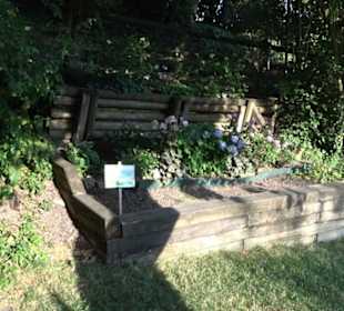 Interkultureller Gemeinschaftsgarten