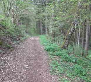 Premiumwanderweg Hochgebürzelt