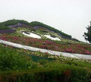 Grinekatze-Alice im Wunderland