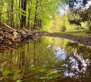 Wandern Sundern