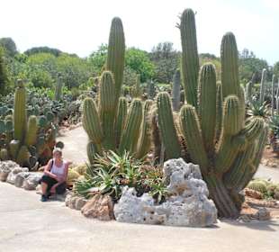 Botanicactus