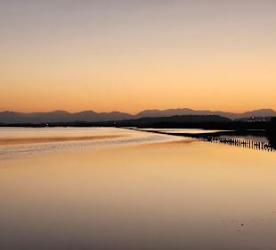Parco Naturale Molentargius Saline
