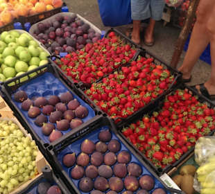 Basar Belek
